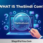 what-is-thesindi-com